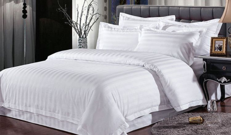 Chăn ga gối nệm Falcon