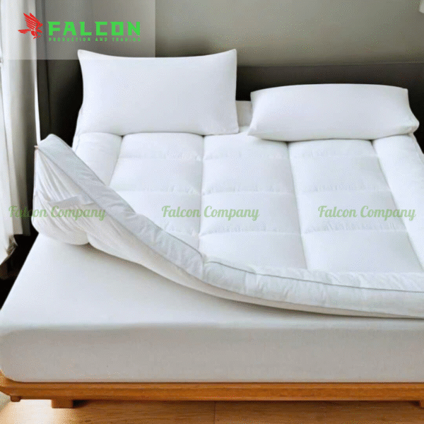 Hình ảnh minh họa